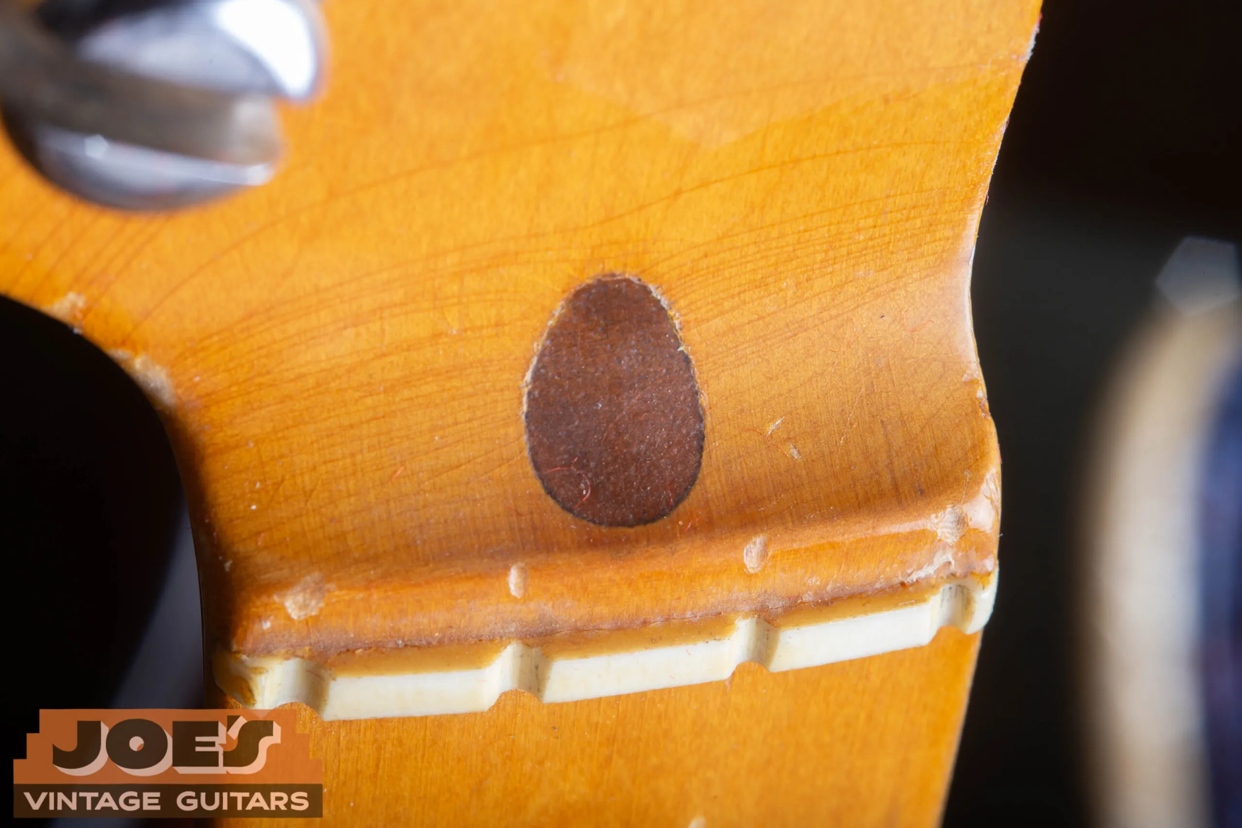 Walnut plug on the headstock of a 1952 Fender Precision Bass