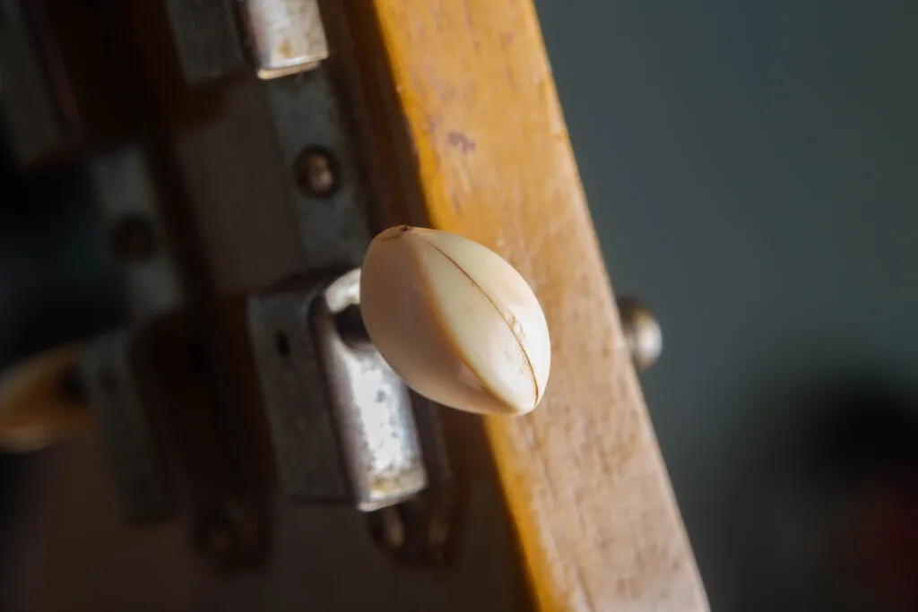 Macro view of the original 1955 Gibson Les Paul Special Kluson Deluxe tuner buttons. The image shows the aged, “creamy” plastic buttons with a characteristic “shrunk” or “melted” texture caused by seven decades of outgassing. The buttons are attached to the 3-on-a-strip tuner units on the mahogany headstock.