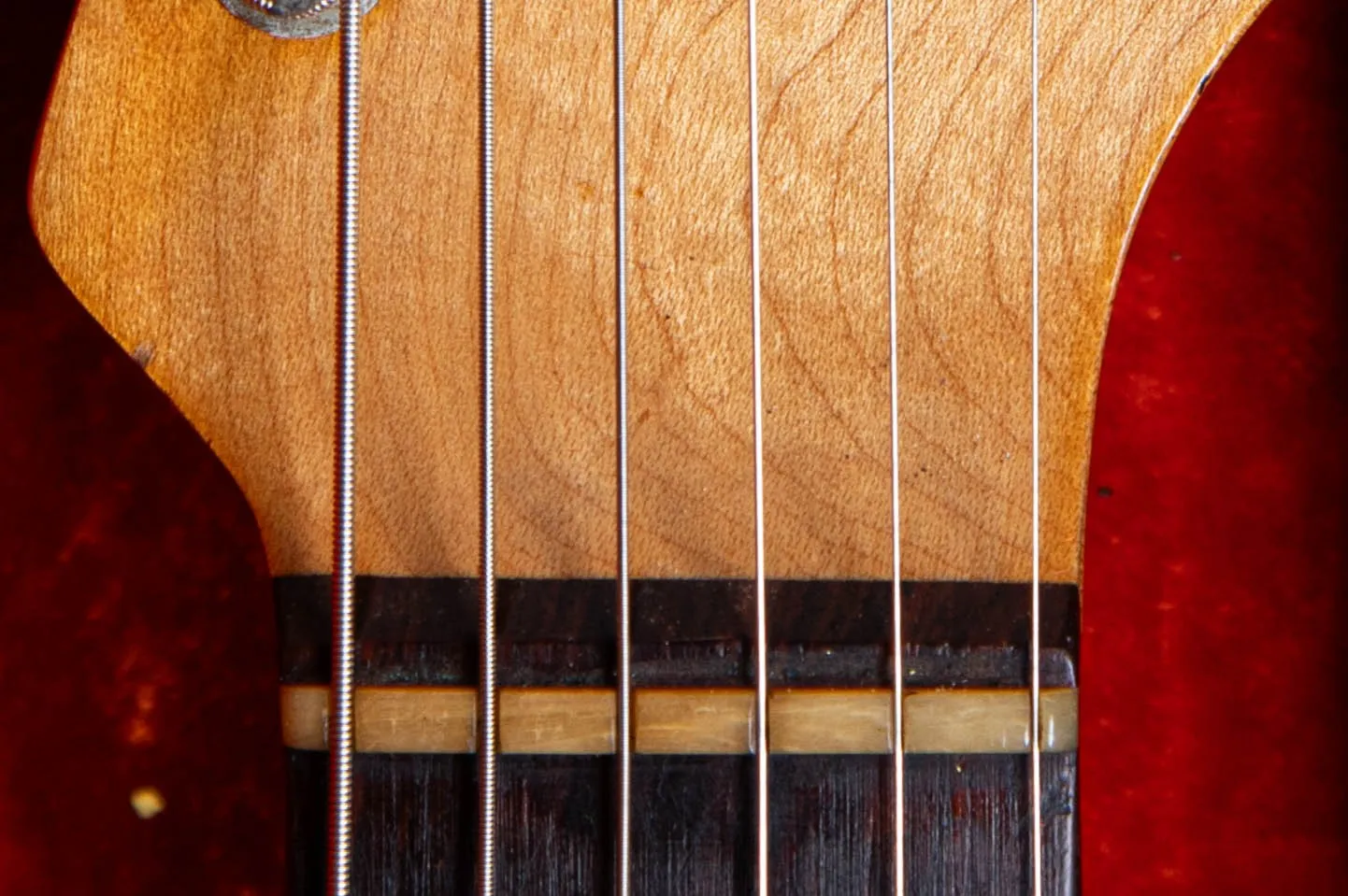 1962 Fender Stratocaster veneer rosewood fingerboard nut area, approximately 2mm thin curved-bottom board showing shallow rosewood depth at headstock end