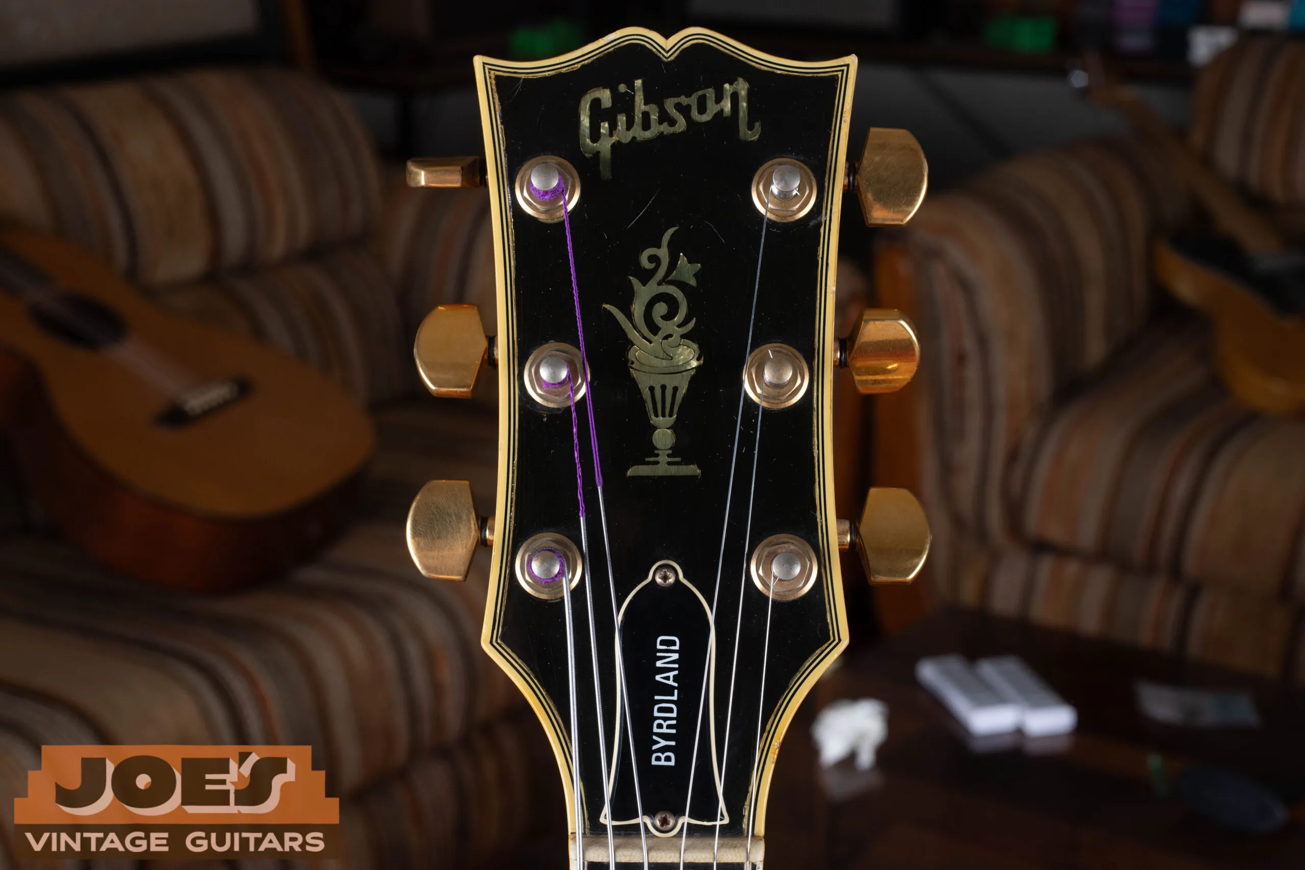 1970s Gibson Byrdland headstock showing Byrdland truss rod cover and Made in USA stamp, Norlin era identification